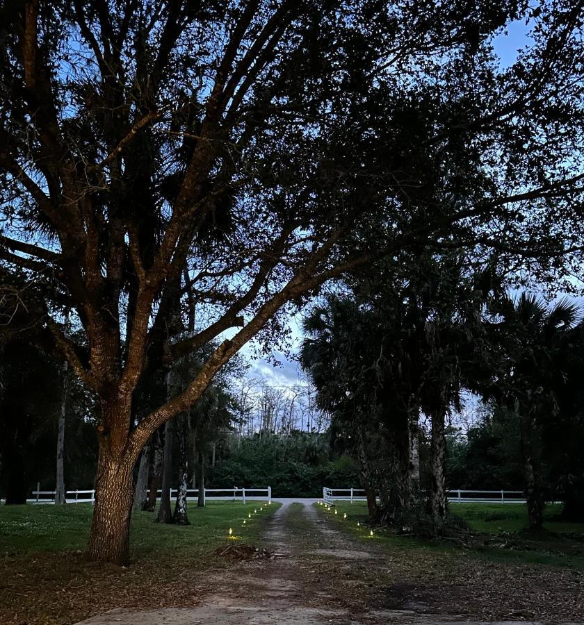 Vacation Pool Home In The Woods. North North Naples エクステリア 写真
