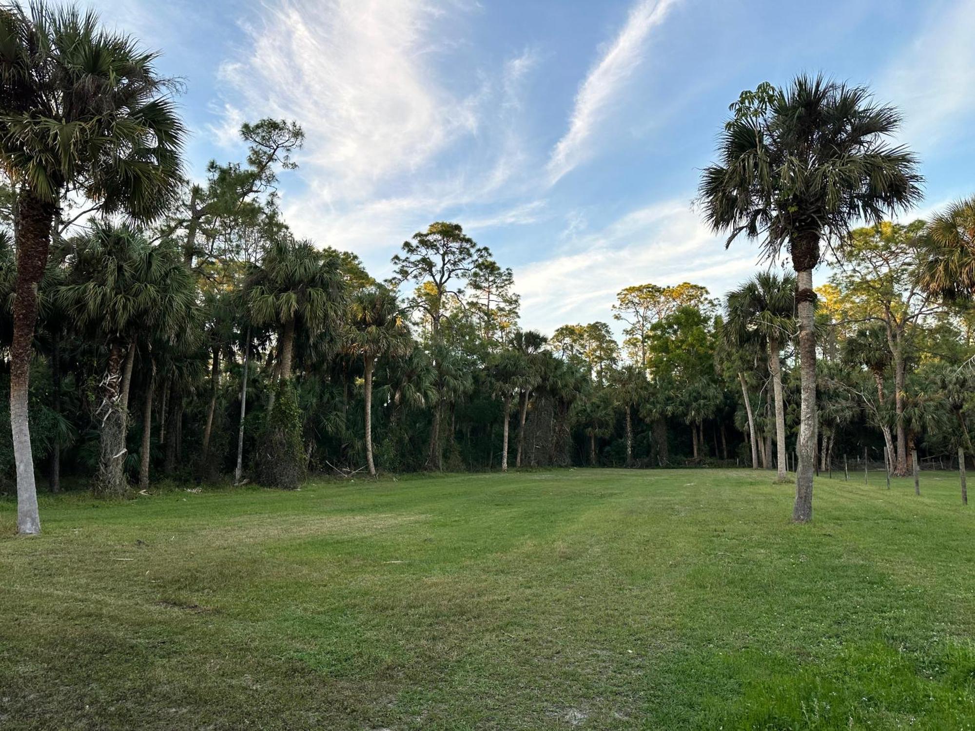 Vacation Pool Home In The Woods. North North Naples エクステリア 写真